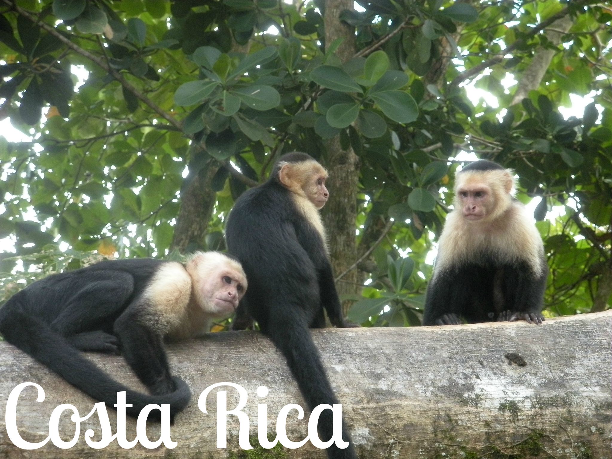Costa Rica Itinerary Wanderalot